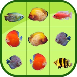 pg电子app